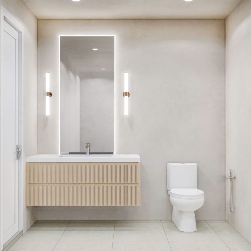 BASEMENT POWDER ROOM