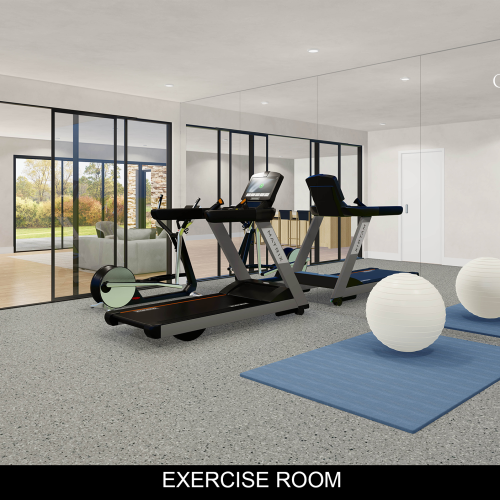 EXERCISE ROOM VIEW 5