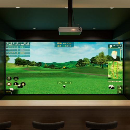 Golf Simulator View 03