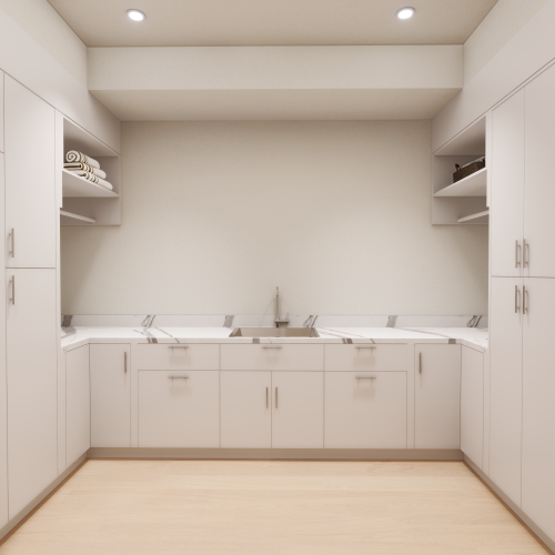 LAUNDRY AREA