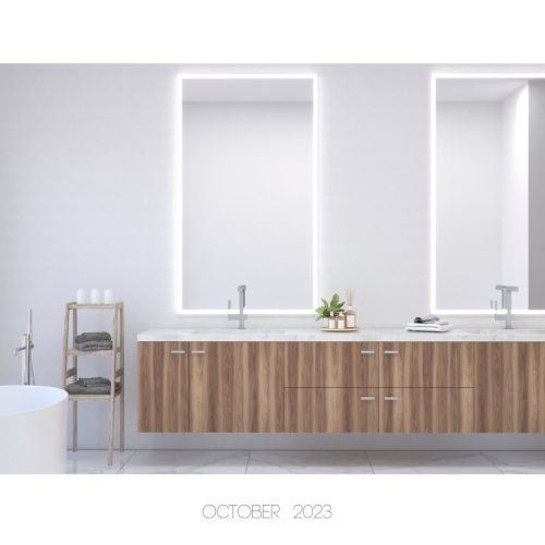 Master Bathroom 01