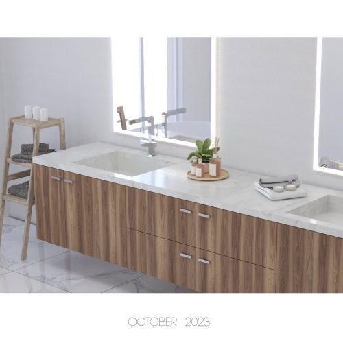 Master Bathroom 02