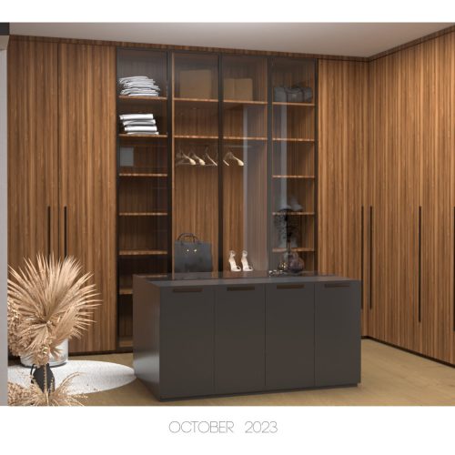 Master Closet 1