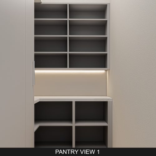 Pantry View 1