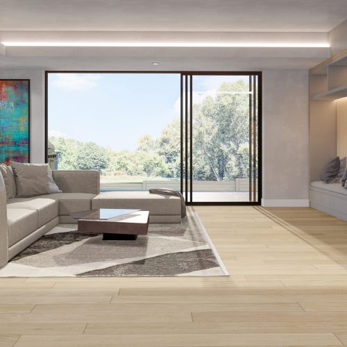 Recreation Room View 01